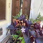 Oasis One Bedroom For Renting 布达佩斯