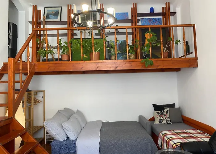 Oasis One Bedroom For Renting